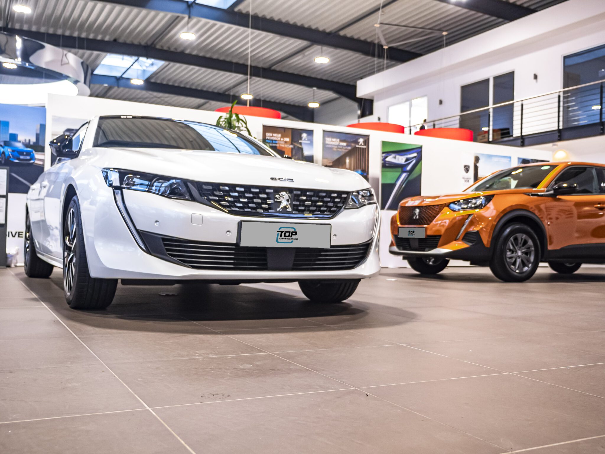 TOP Markenspezialist für Peugeot